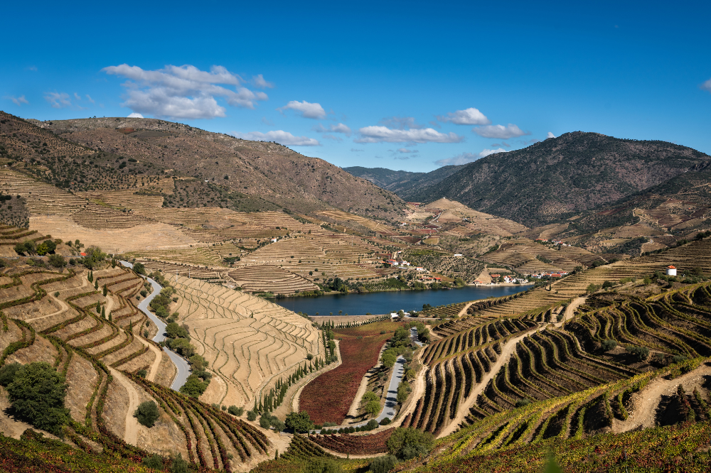 Douro Valley Wine, Scenery & Relaxation